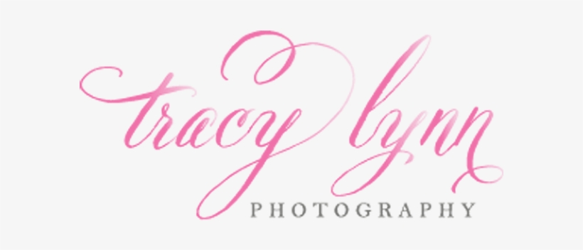 Tracy Lynn Photography New Logo - News, transparent png #2234998