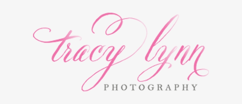 Tracy Lynn Photography New Logo - News, transparent png #2234998