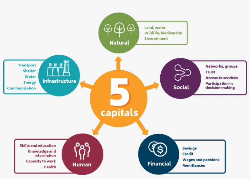 5 Capitals Infographic Copy - Five Capitals, transparent png #2235096