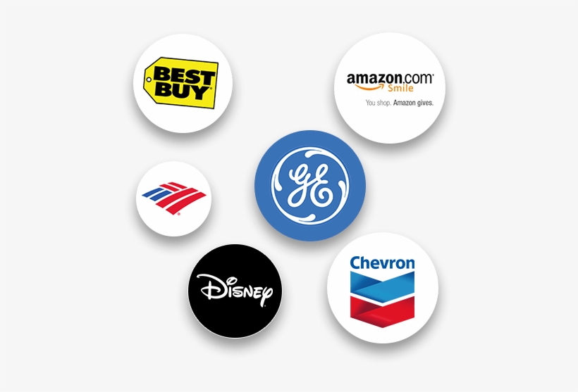 Examples Of Companies That Donate To Nonprofits And - Fda Vet Veterinary Oled Digital Blood Pressure&heart, transparent png #2235376