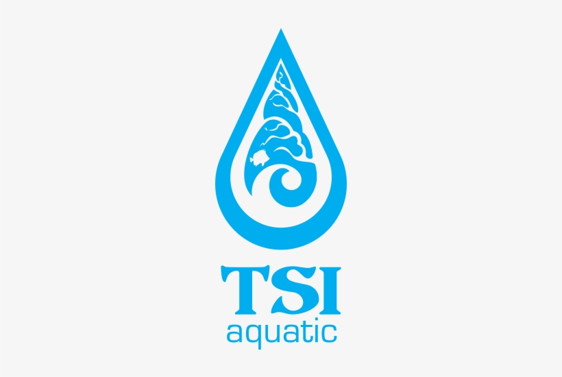 Overview - Curriculum Research & Development Group, transparent png #2236424