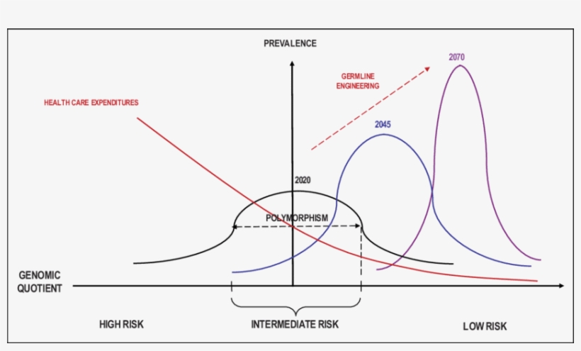 The Genomic Quotient - Diagram, transparent png #2236789