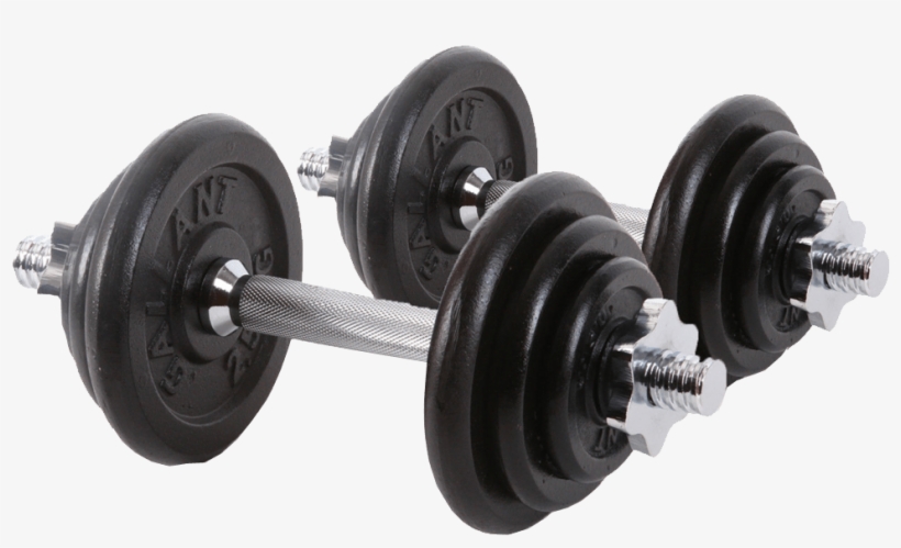 Dumbells Transparent Background Image - Transparent Background Weights Transparent, transparent png #2237716