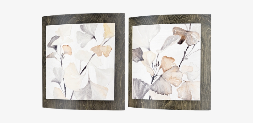 Ginkos - Convex Pk/2 - Pk, transparent png #2239621