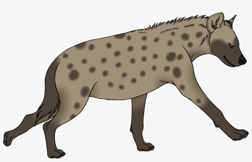 Hyena Png - Transparent Hyena Clipart, transparent png #2239835