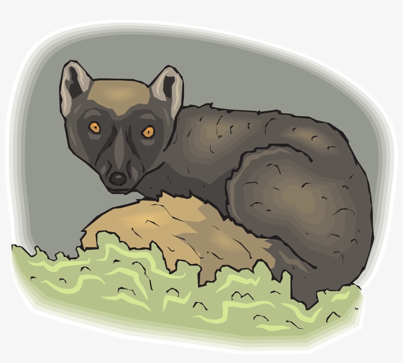In The Last Century, We Lost Many Of Our Magnificent - Mammal, transparent png #2240036