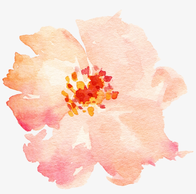 Watercolour - Fleurs Aquarelle Png - Free Transparent PNG Download - PNGkey