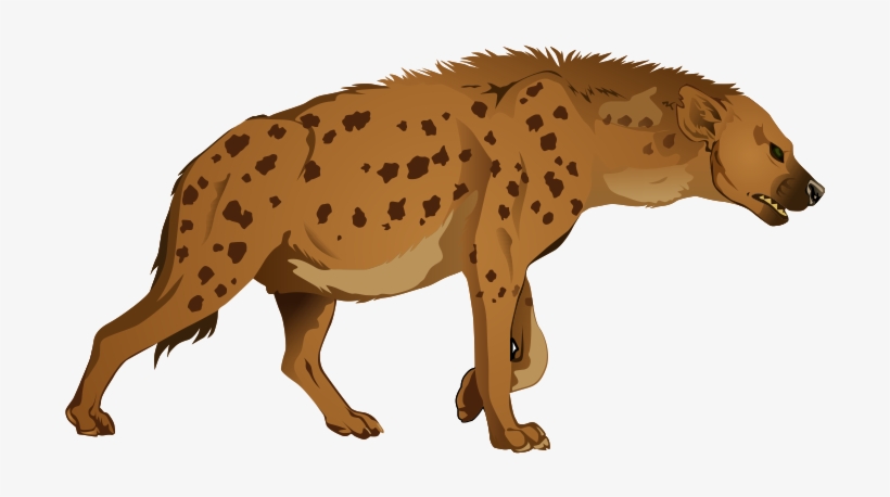 Hyena Png - Hyena Clipart, transparent png #2240369