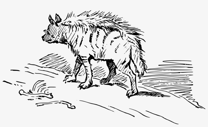 Hyena Png, transparent png #2241127