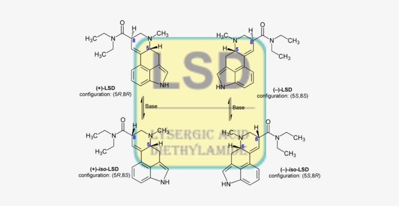 Lsd Conjugate - United Airlines, transparent png #2241265
