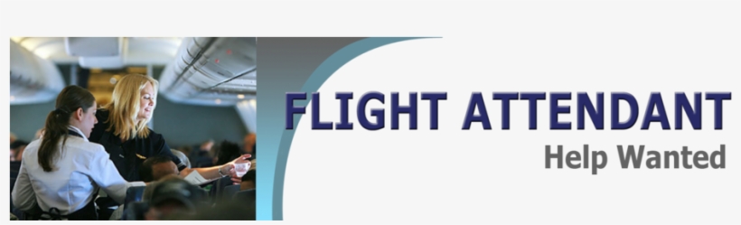 Our Logo - Flight Attendant, transparent png #2241309