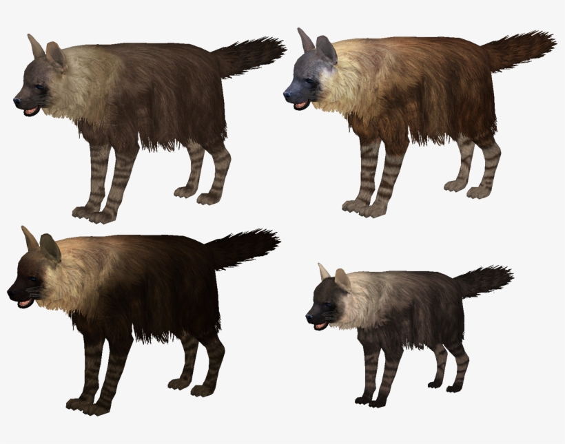 Brown Hyena - Zoo Tycoon 2 Brown Hyena, transparent png #2242207