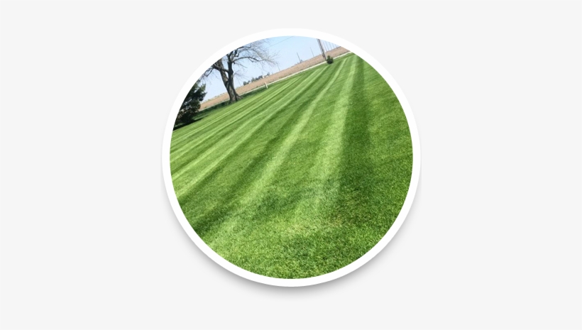 Lawn Mowing - Lawn, transparent png #2242822
