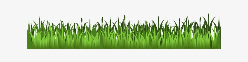 Grass-159804 640 - Transparent Background Grass Clipart, transparent png #2242890