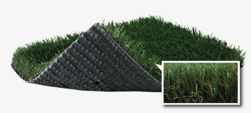 Best In Show - Artificial Turf, transparent png #2243116