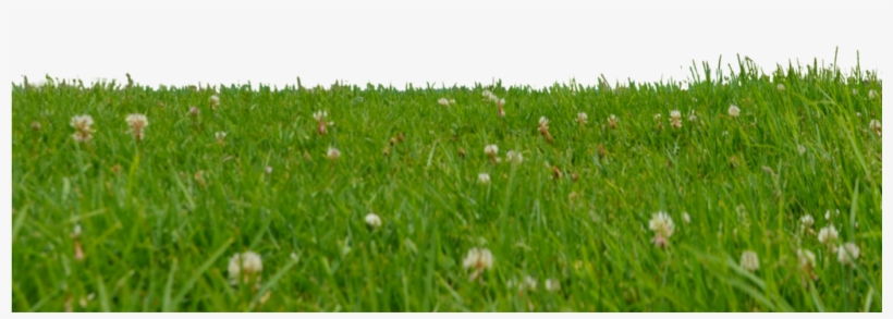 Go To Image - Stock Photography, transparent png #2243205