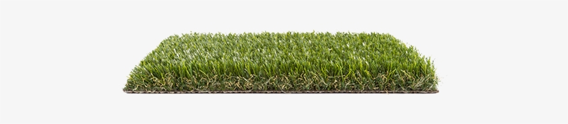 Imperial Turfgrass Psh - Lawn, transparent png #2243256