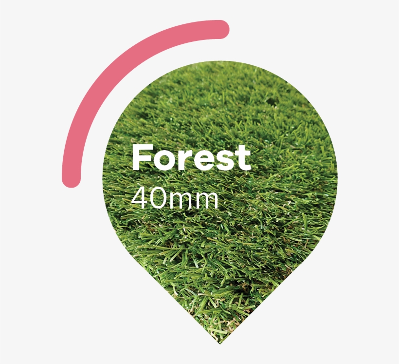 Forest Artificial Grass - Portable Network Graphics, transparent png #2243284