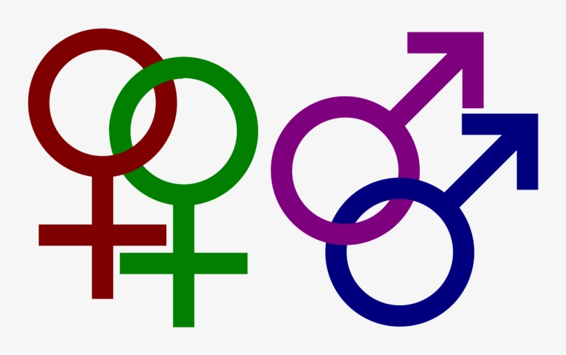 For Children's Sake, Courts Should Embrace Equitable - Teorías De La Orientación Sexual, transparent png #2243717