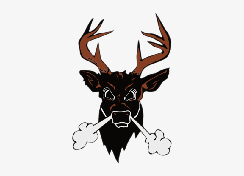 Buckeye Bucks - Buckeye Local Schools Jh, transparent png #2244321