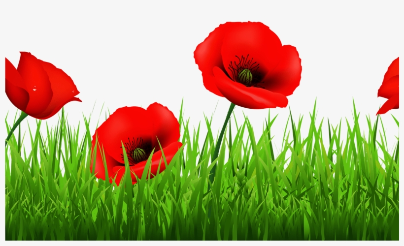 Free Poppy Cliparts, Download Free Clip Art, Free Clip - Poppies Clip Art, transparent png #2244322
