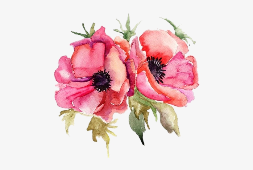 Flowers In Water Color, transparent png #2244474
