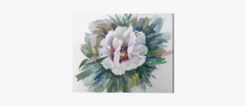 Watercolor Flower Collection - Watercolor Painting, transparent png #2244498