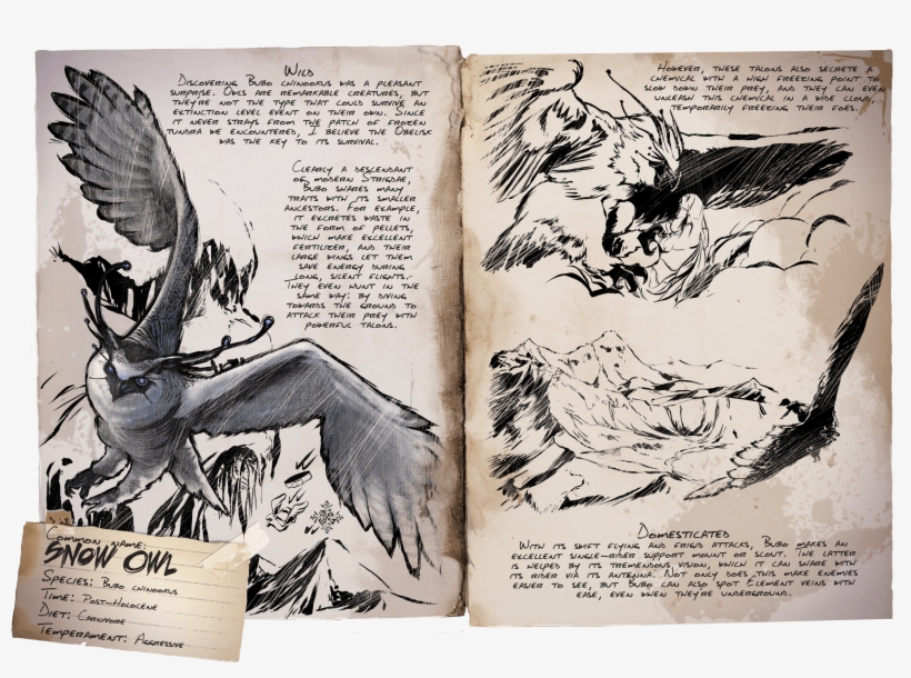 Deutsches Dino Dossier - Owl, transparent png #2246007