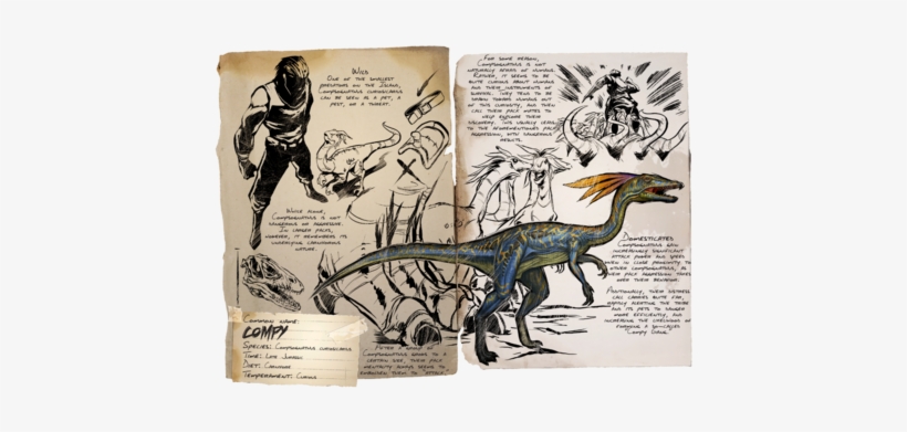 Survival Evolved Wiki - Ark Compy, transparent png #2246031