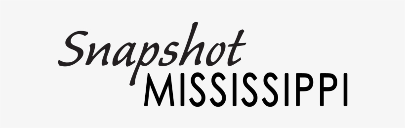 Posted By Ashley Jefcoat On May 25, 1995 At - Chesapeake Splendor: Journeys Among Eastern Shore Islands,, transparent png #2248097