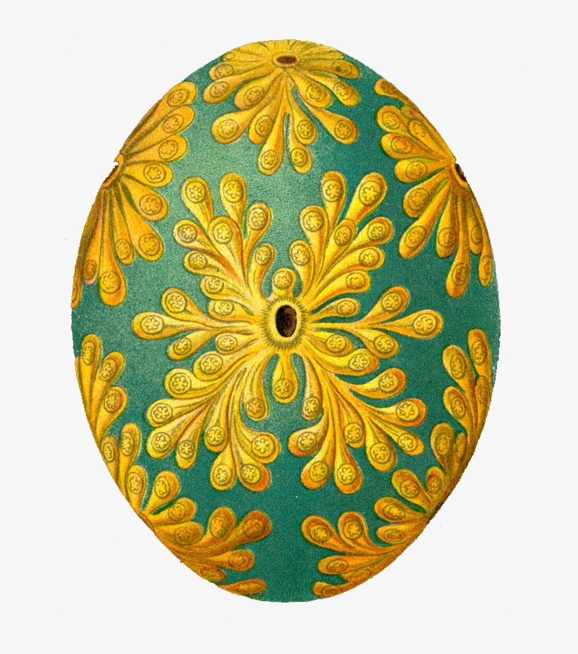 Ernst Haeckel Egg, transparent png #2249423