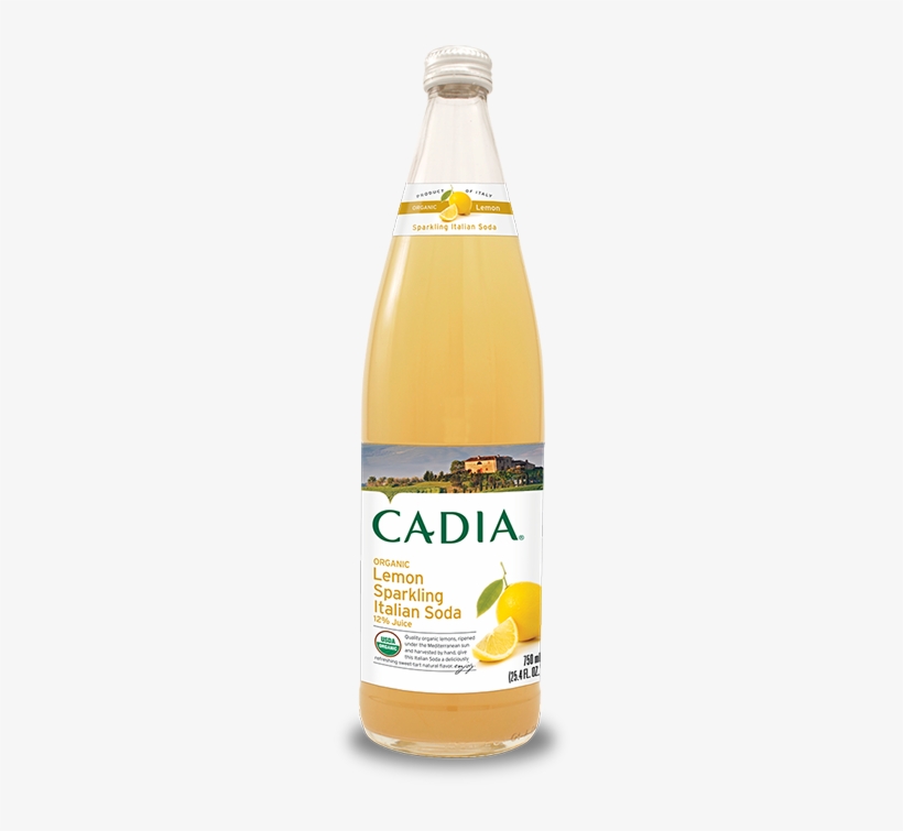 Organic Fruits Harvested By Hand At Their Peak Of Ripeness - Cadia, transparent png #2250520
