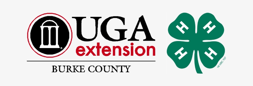 Burke County 4-h - Drone Discovery 4 H, transparent png #2250879