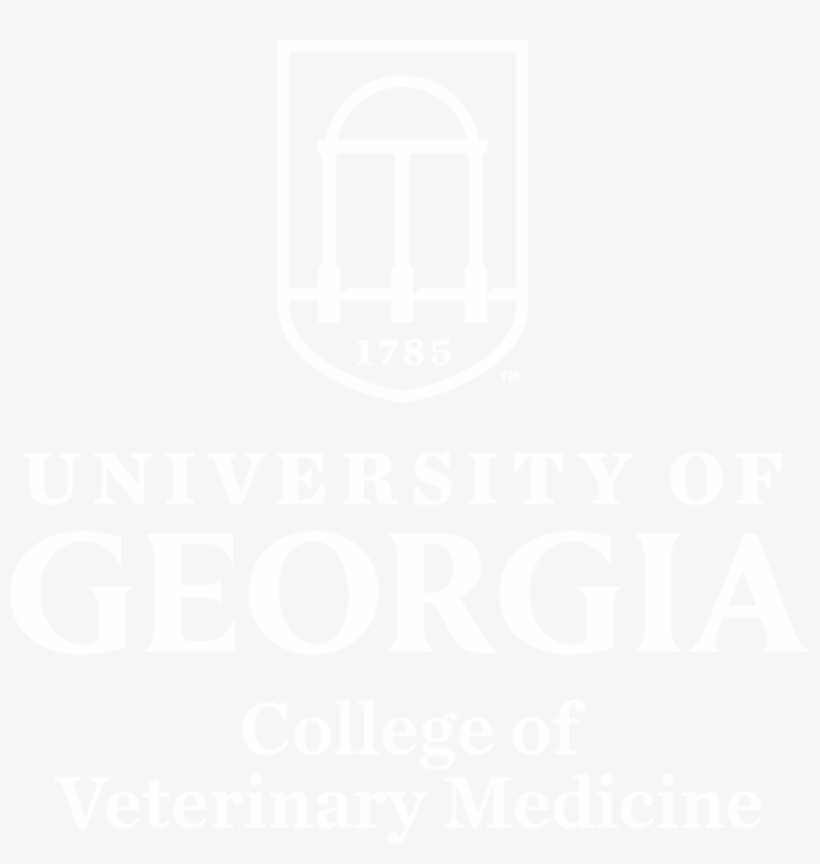 Connect - University Of Georgia Bulldogs 11 Oz. Mug, transparent png #2251024