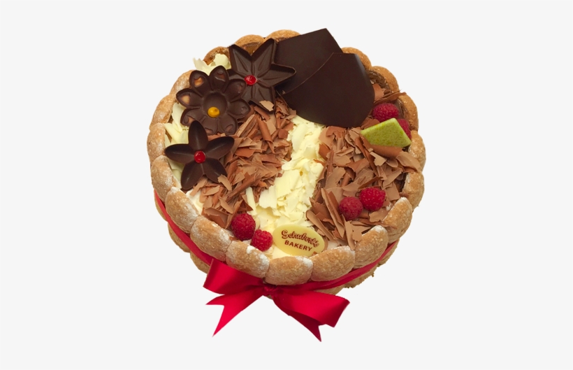 Tiramisu Cake, transparent png #2252248