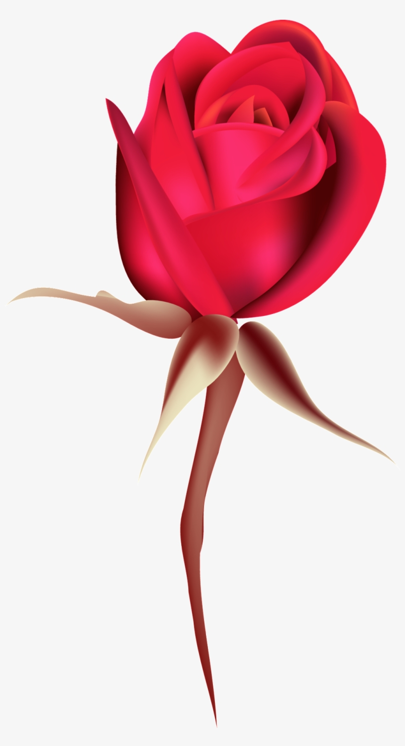 Rosa Roja Rosa Png Ornamental - Rose, transparent png #2254155