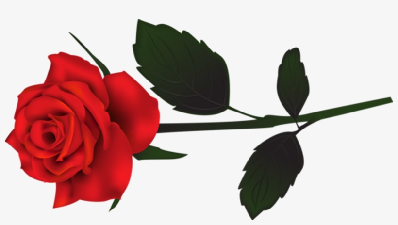 Rosas En Png - Phantom Of The Opera Rose Drawing, transparent png #2254198