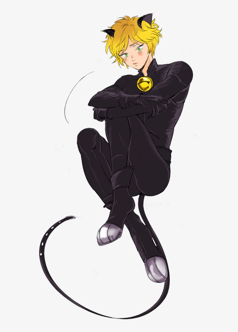 Miraculous Chat Noir Web Desktop - Miraculous Cat Noir - Free Transparent  PNG Download - PNGkey