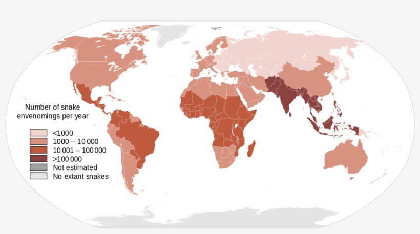 Number Of Snake Envenomings - La Via Campesina, transparent png #2256146