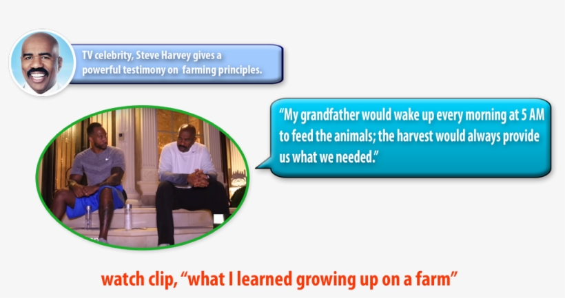 The Official Steve Harvey - Education, transparent png #2257711