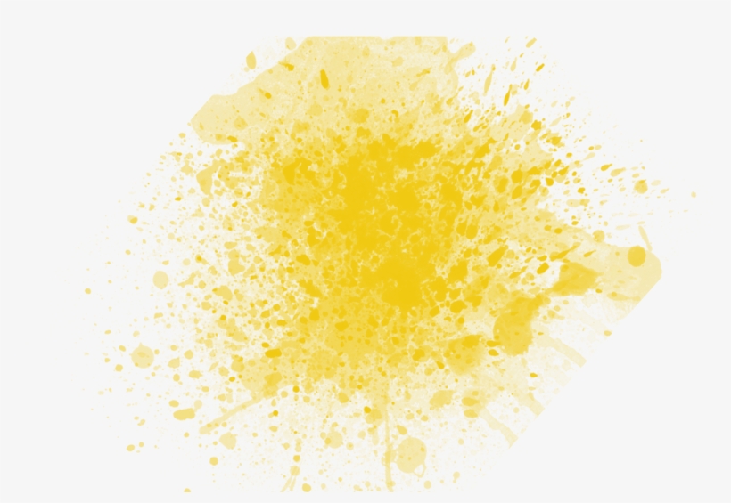 Home Pinturas Bengoetxea 2015 08 31t13 - Macro Photography, transparent png #2261356