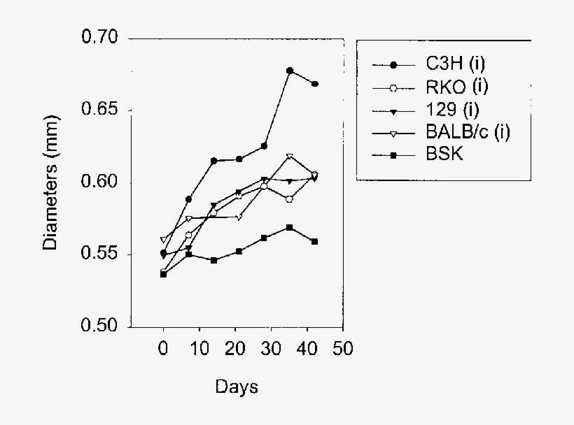 Ifn R / Mice Developed Arthritis Similar To That Of - Diagram, transparent png #2263529