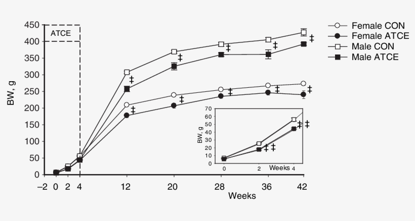 Body Weight In Control (con) Female And Male Fawn Hooded - Diagram, transparent png #2264216