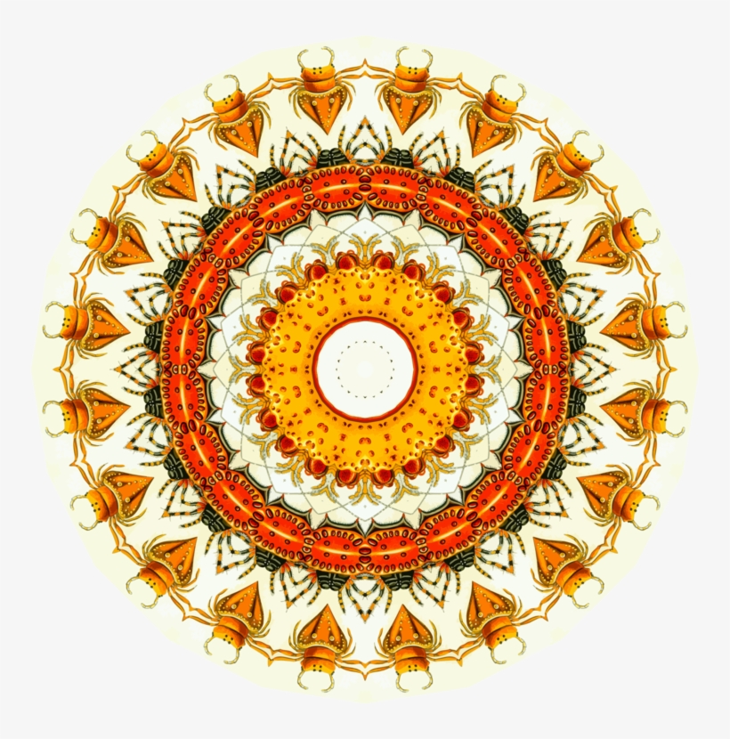 Color Wheel Circle Wall Decal Color Chart - Tholos Delphi, transparent png #2264758