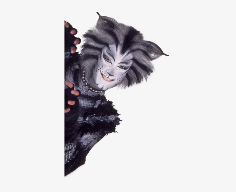 A Few Things You May Not Know About Cats The Musical - Cats Musical Png, transparent png #2264809