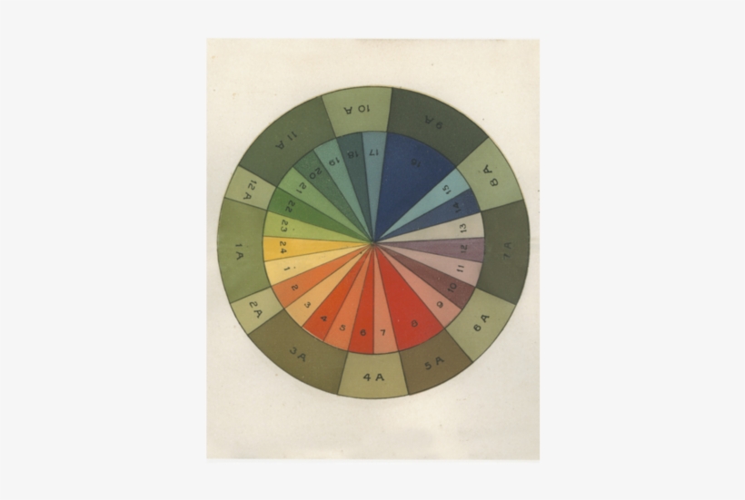 Color Wheel - Workman John Derian Picture Book, transparent png #2265298