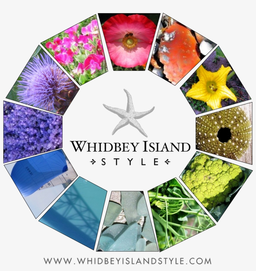 Wiscolorwheel2 - Whidbey Island, transparent png #2265643