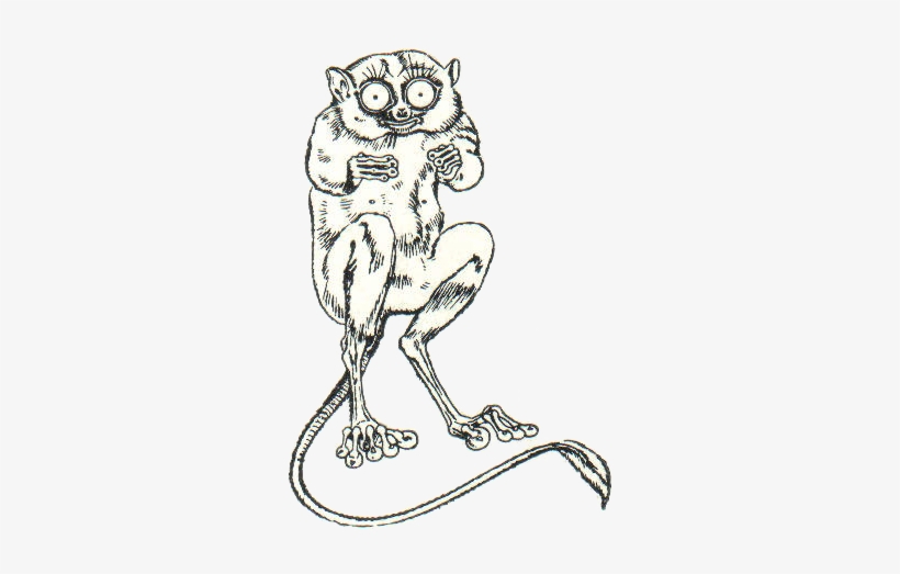 Kobold Maki 1 - Illustration, transparent png #2268071