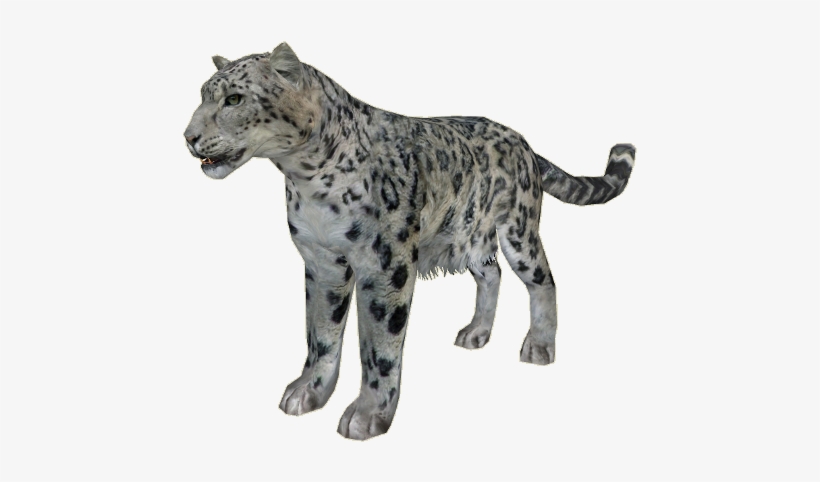 Snowleopard Ludozoo - Zt2 Snow Leopard, transparent png #2268639