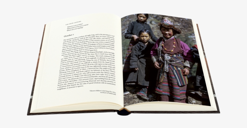 Skip To The End Of The Images Gallery - Document, transparent png #2268743